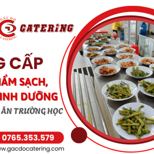 Gấc Đỏ chọn lọc nhà cung cấp thực phẩm sạch uy tín cho trường học